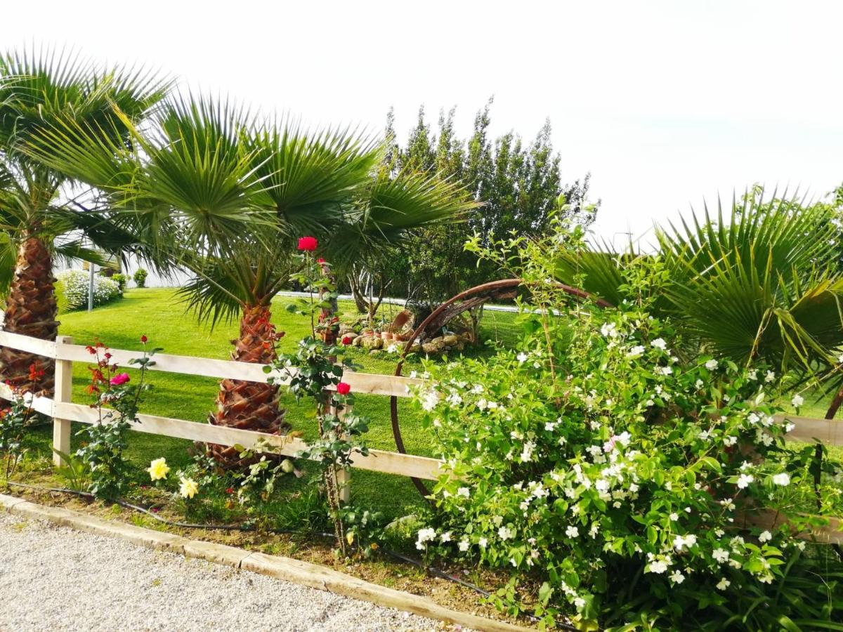 Apartment Vejer Life&nature