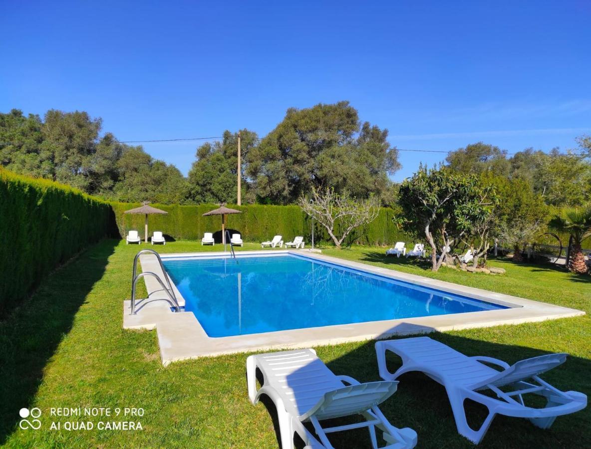 Vejer Life&nature